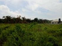 18 hectares of land on Lagos-ibadan Express-way